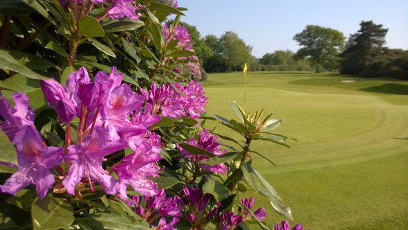 Come And See The Dorset Flower Show At The Dorset Golf Resort