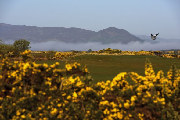 Free Golf Offer At Royal Dornoch As Glenmorangie Links Extended