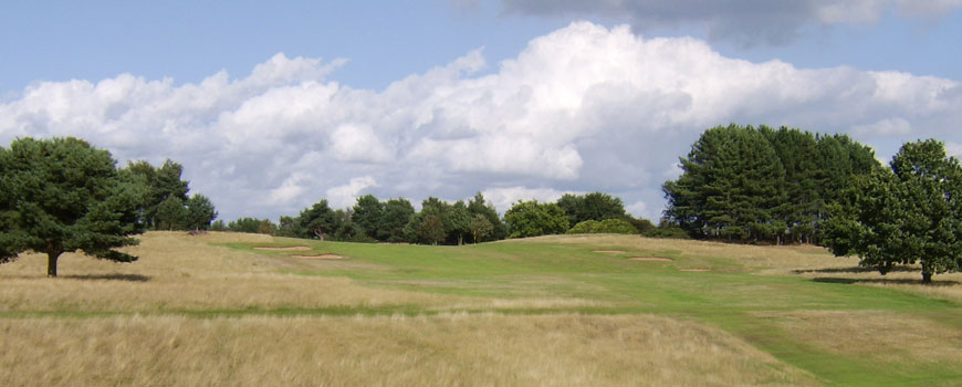 Delamere Forest Golf Club