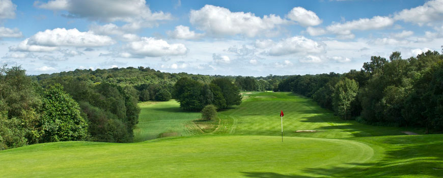 Waterfall Course Course at Mannings Heath Golf Club Image