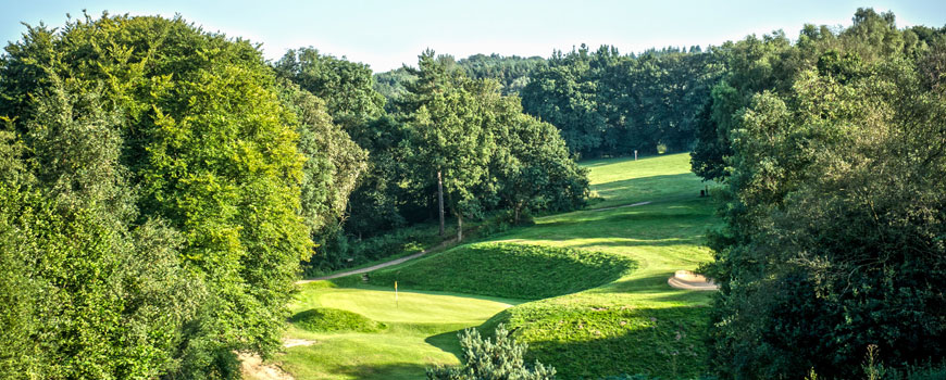 Waterfall Course Course at Mannings Heath Golf Club Image