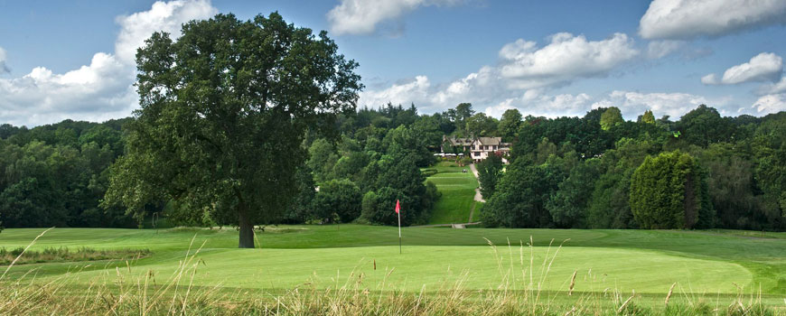 Waterfall Course Course at Mannings Heath Golf Club Image