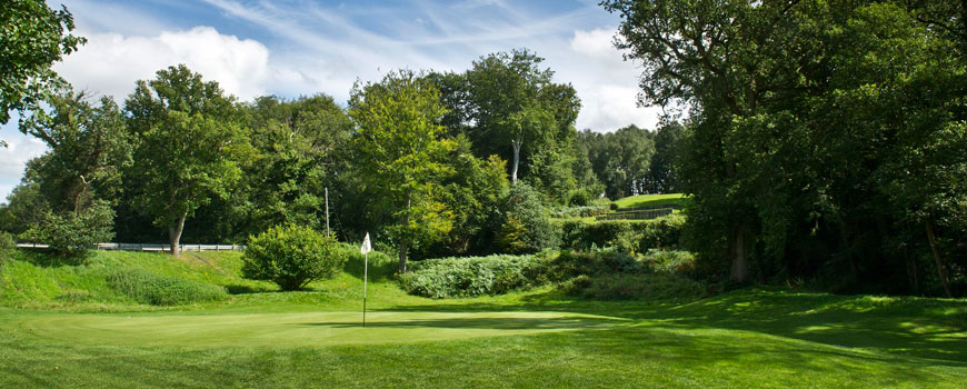 Waterfall Course Course at Mannings Heath Golf Club Image