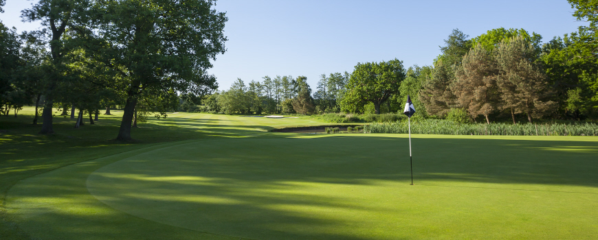 Aylesford Course Course at Forest of Arden Marriott Hotel & Country Club Image
