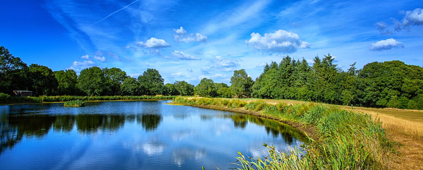 Petersfield Golf Club