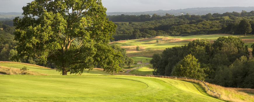 Dale Hill Hotel and Golf Club