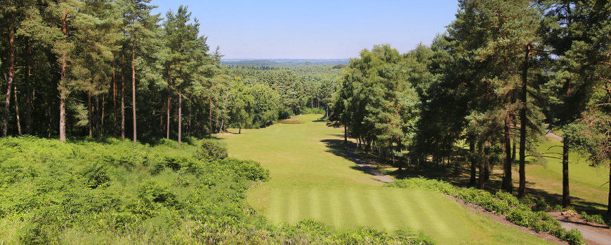 Old Thorns Manor Hotel Golf and Country Estate