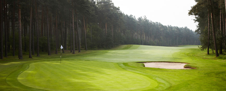 Duchess Course Course at Woburn Golf Club Image