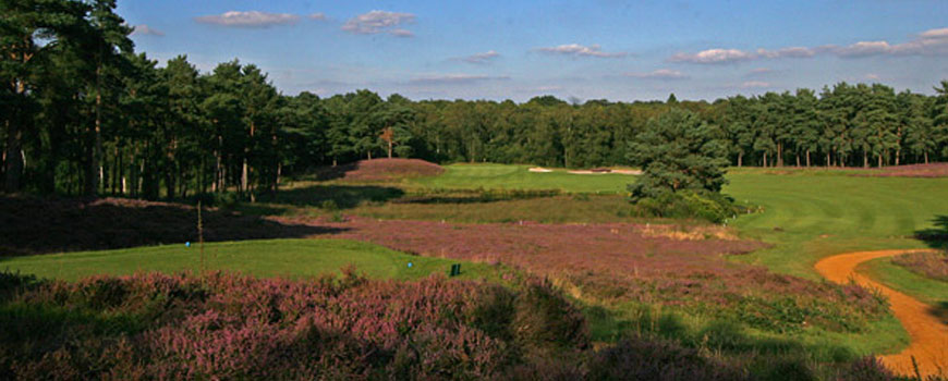 West Sussex Golf Club