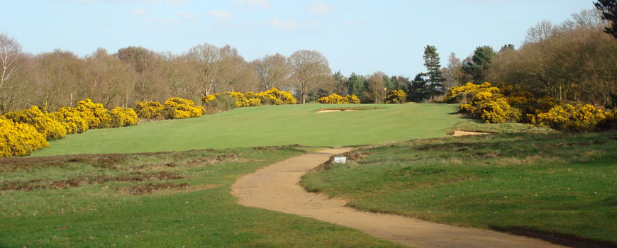 Heath Course Course at Woodbridge Golf Club Image