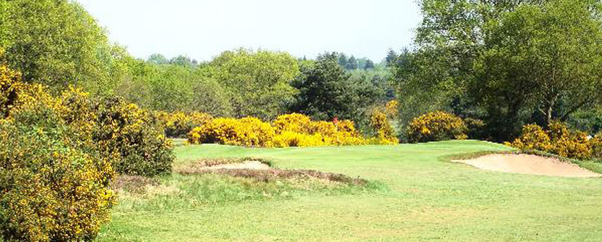  Forest Course  at  Woodbridge Golf Club