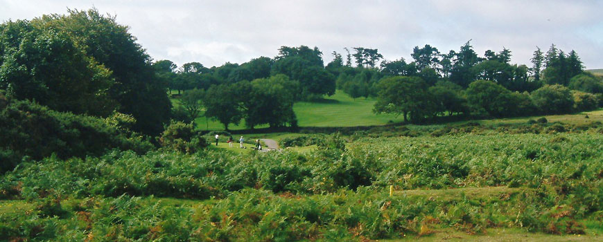 Wrangaton (South Devon) Golf Club