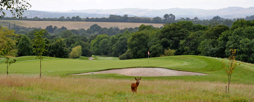 Woodbury Park Hotel and Golf Club