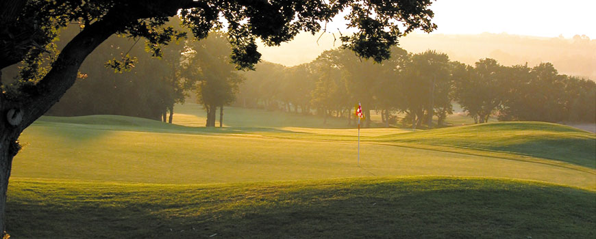 Woodbury Park Hotel and Golf Club