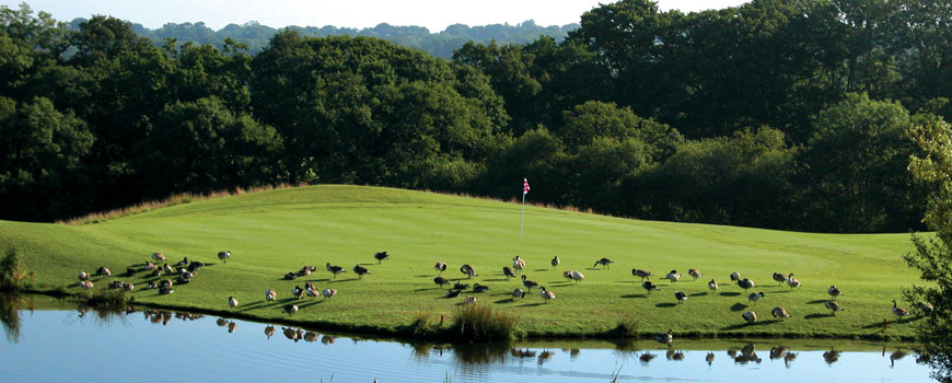The Acorns Course at Woodbury Park Hotel and Golf Club Image