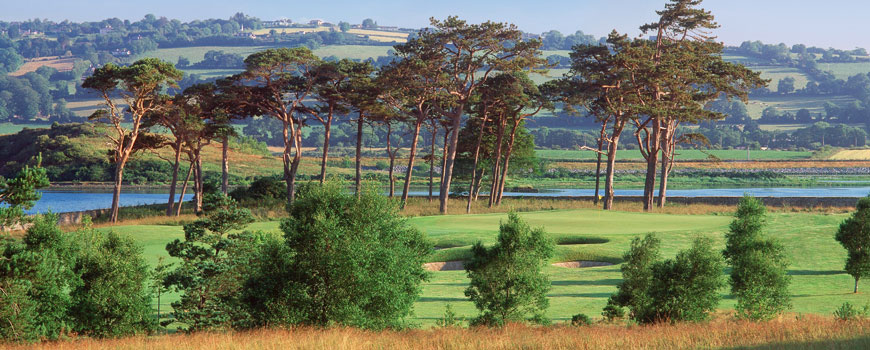 Fota Island Resort