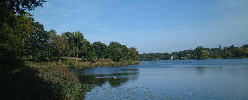 The Mere Golf Resort & Spa