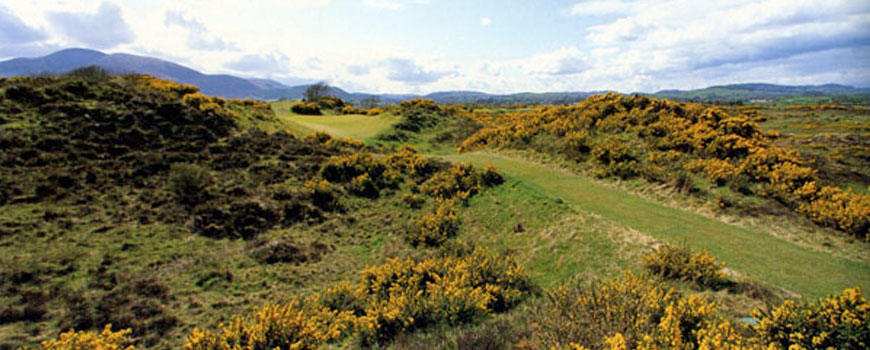 Annesley Links Course at Royal County Down Golf Club Image