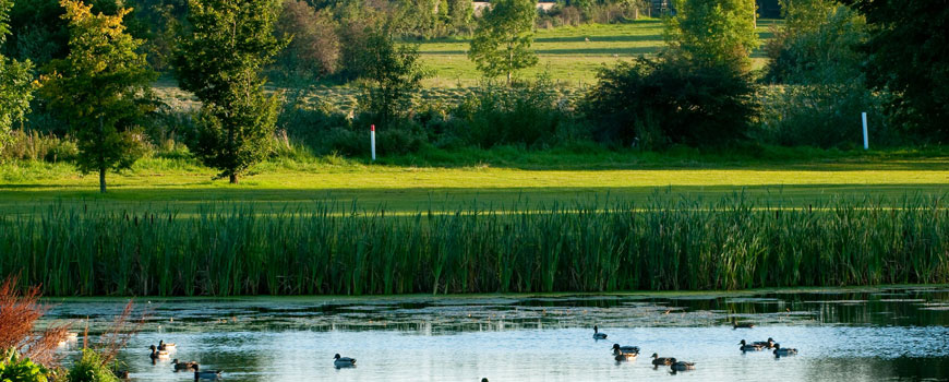 Galgorm Castle Golf Club