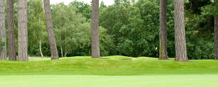 Sonning Golf Club