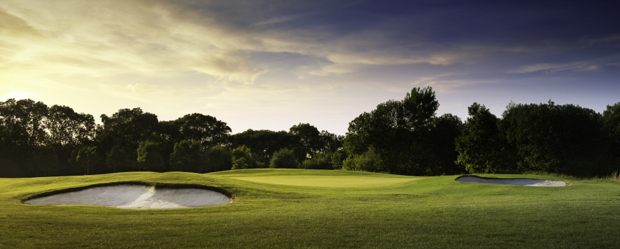  The Park and The Wood at Sandford Springs Hotel and Golf Club