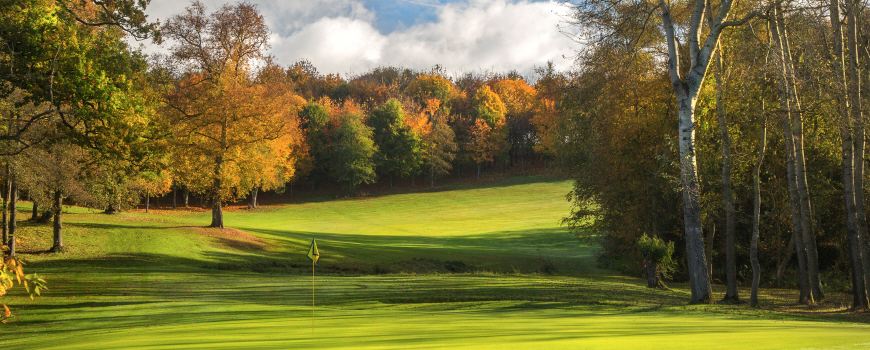 The Park and The Wood Course at Sandford Springs Hotel and Golf Club Image