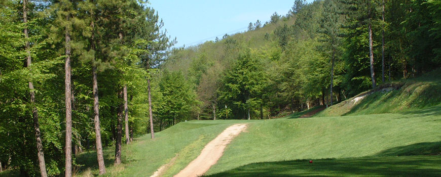 Chiltern Forest Golf Club