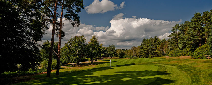  Bernard Hunt at Foxhills part of The Foxhills Collection