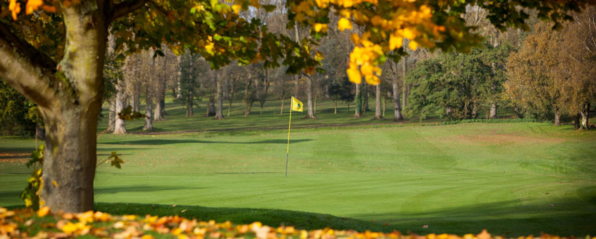 The Hill Course Course at Barnham Broom Image