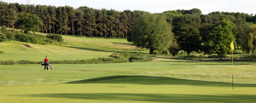 The Hill Course Course at Barnham Broom Image
