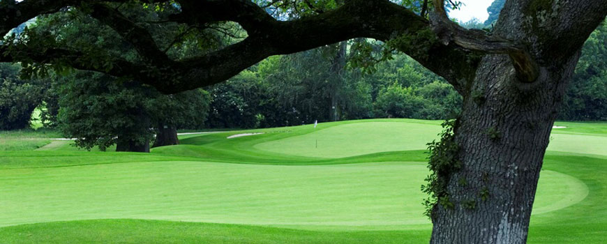 Rathsallagh House Hotel and Golf Club
