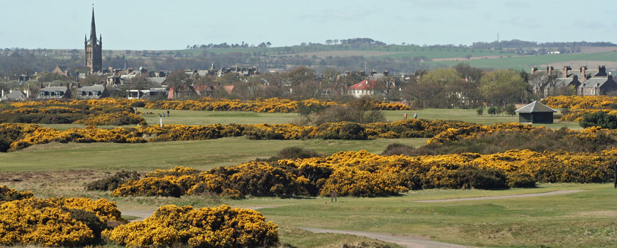 Montrose Golf Links