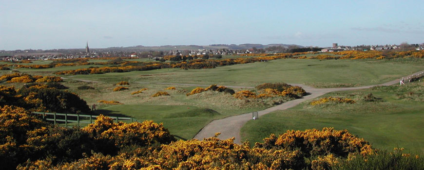 Montrose Golf Links