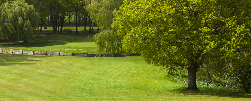  Valley Course  at  Meon Valley