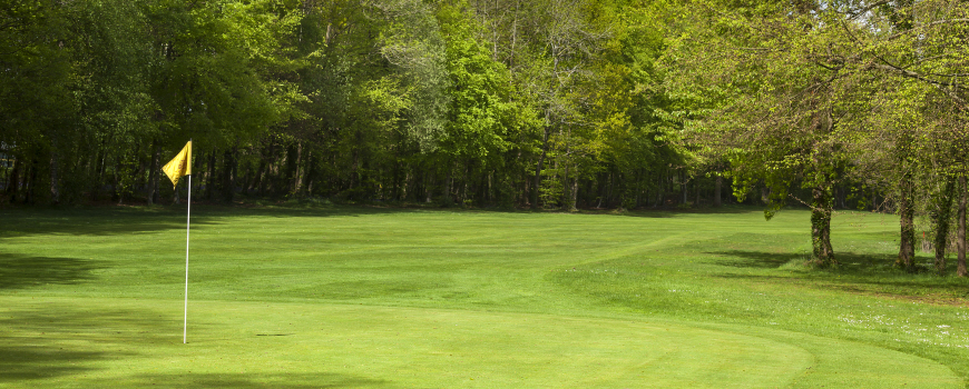 Valley Course Course at Meon Valley Image