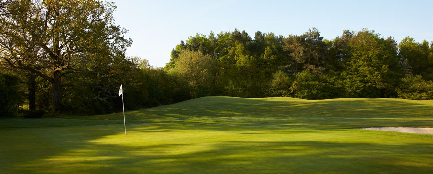 Lingfield Park Resort