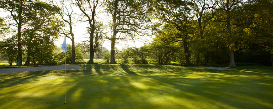 Lingfield Park Resort