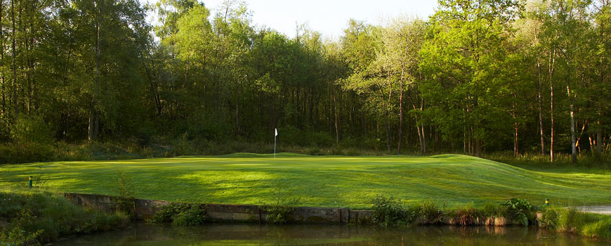 Lingfield Park Resort