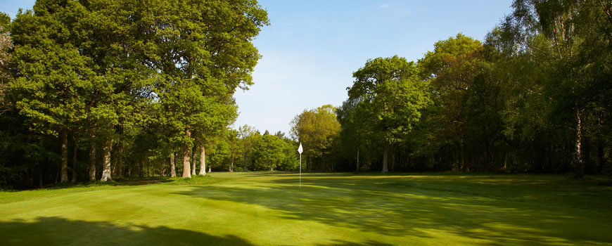 Lingfield Park Resort