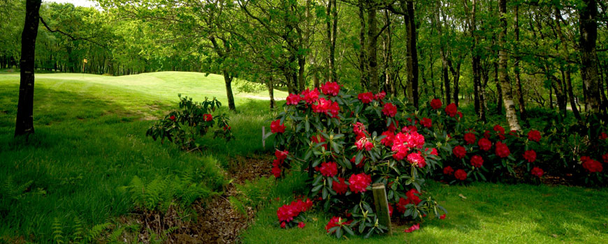 Lanhydrock Hotel and Golf Club