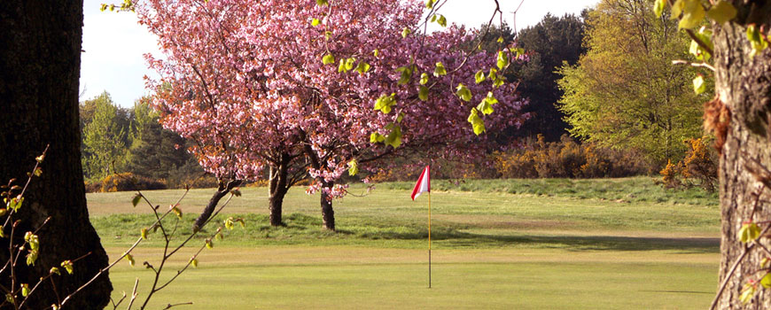 The Bruce Course Course at The Green Hotel Golf and Leisure Resort Image