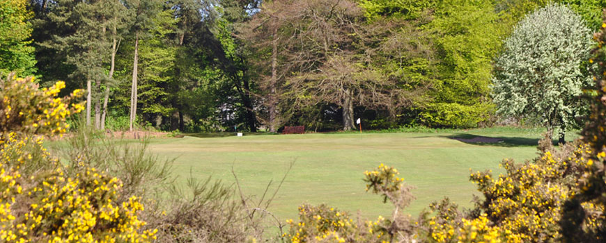 The Bruce Course Course at The Green Hotel Golf and Leisure Resort Image