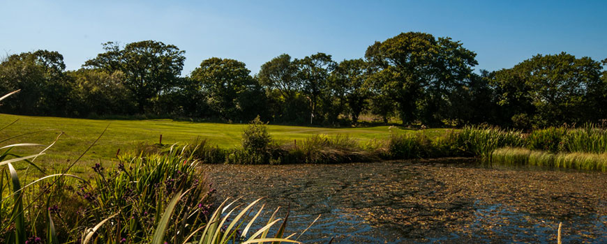 Trethorne Golf Club