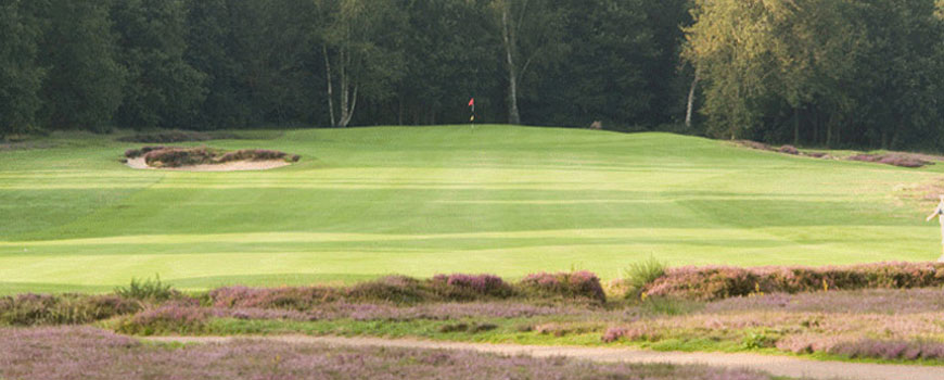 Liphook Golf Club