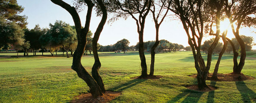  East Course  at  Marriott Son Antem Golf Resort and Spa