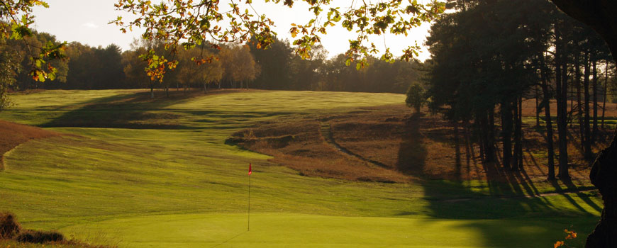 Royal Ashdown Forest Golf Club