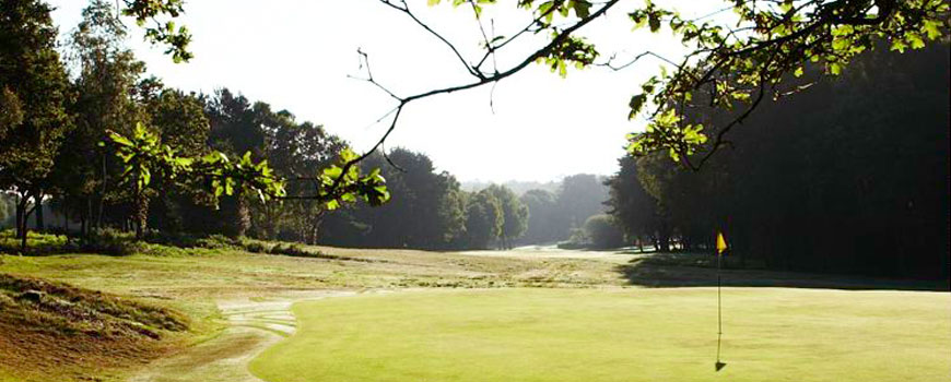 West Course Course at Royal Ashdown Forest Golf Club Image