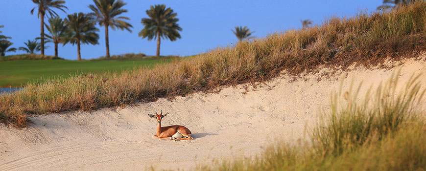 Saadiyat Beach Golf Club