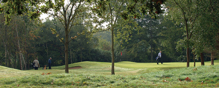 Repton Short Course Course at Rudding Park Image