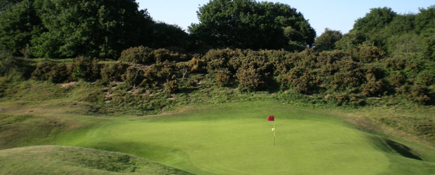 Diss Golf Club